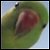 :iconkhaeos: