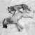 :iconkhaos-k9: