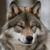 :iconkhorgan: