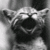 :iconkhornette: