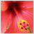 :iconkhypsis: