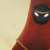 :iconki-ki-tyan: