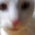 :iconki11you: