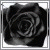 :iconkiah0425: