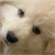 :iconkiannashadow: