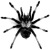 :iconkiarakiller: