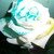 :iconkiararockz: