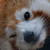 :iconkiba-nessho:
