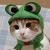 :iconkiba-okami: