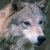 :iconkiba-spirit: