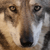 :iconkiba67: