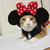 :iconkiba82: