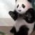:iconkibalover4ever114: