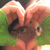 :iconKibaLover93: