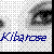 :iconkibarose666: