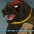 :iconkibawr1709: