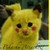 :iconkibblelov: