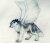 :iconkibblesthewolf: