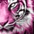 :iconkibe09:
