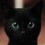 :iconkibellion: