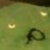 :iconkibyou: