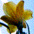 :iconkickballz99: