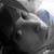 :iconkicki6: