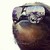 :iconkicknrush: