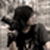 :iconkickophotoworks: