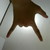 :iconkicktaill:
