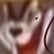 :iconkidalia-chan: