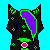 :iconkidcat1997: