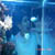 :iconkidd-undefined:
