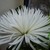 :iconkidempress13: