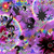 :iconkidlet: