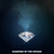 :iconkidney-shots: