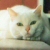 :iconkidraid: