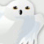 :iconkidrasan: