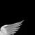 :iconkieia: