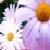 :iconkiersten-kid: