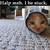 :iconkiff304: