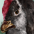 :iconkifuslick: