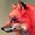 :iconKiinotasha: