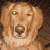 :iconkiioniie: