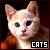 :iconkijane: