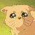 :iconkikaiookami: