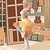 :iconkikibabe1234: