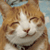 :iconkikitty: