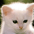 :iconkikkaredfire17: