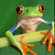 :iconkikkerttt:
